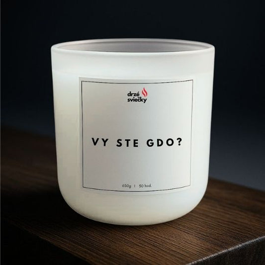 Vy ste gdo?