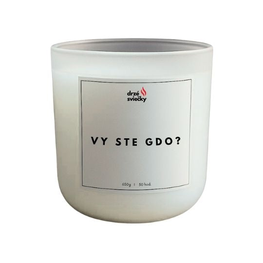 Vy ste gdo?