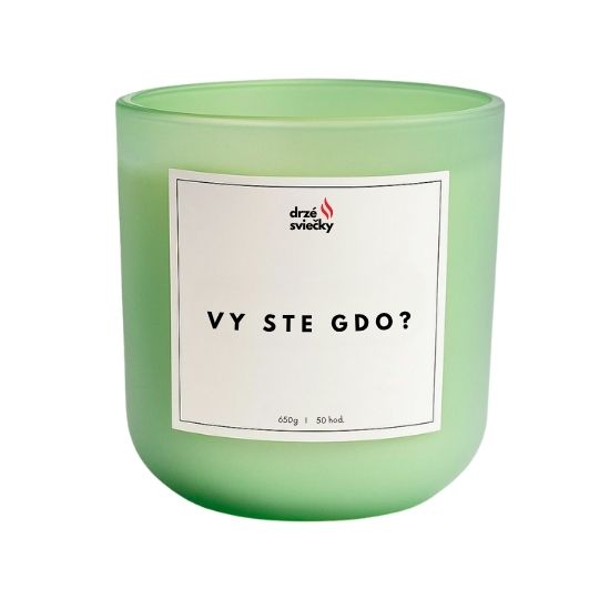 Vy ste gdo?